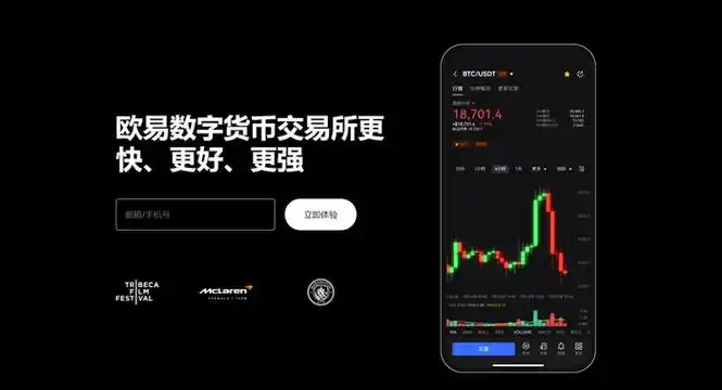 okpay官网下载页面展示